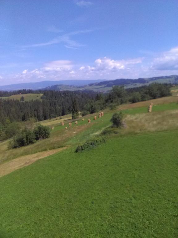 Noclegi Brzegi Exterior foto