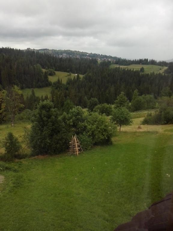 Noclegi Brzegi Zimmer foto